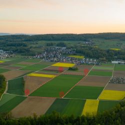 Untitled design (62)